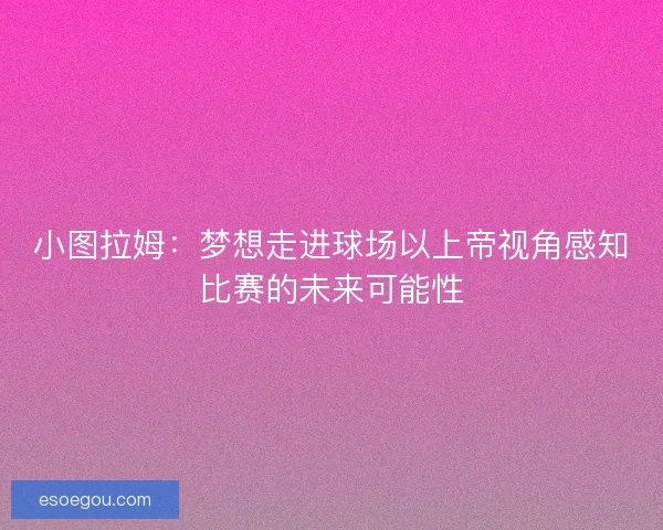 小图拉姆：梦想走进球场以上帝视角感知比赛的未来可能性