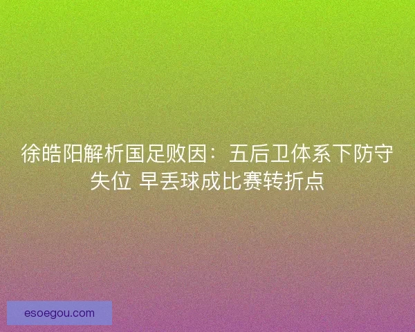 徐皓阳解析国足败因：五后卫体系下防守失位 早丢球成比赛转折点
