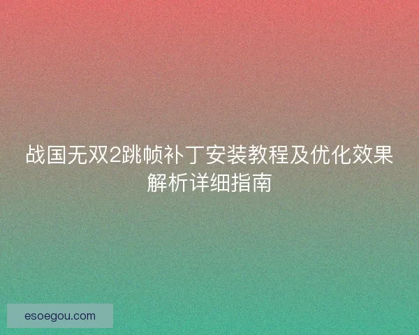 战国无双2跳帧补丁安装教程及优化效果解析详细指南
