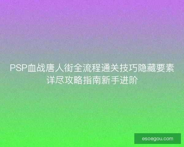 PSP血战唐人街全流程通关技巧隐藏要素详尽攻略指南新手进阶