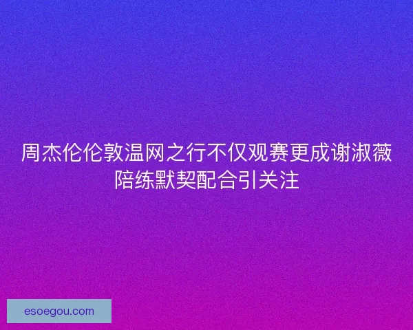 周杰伦伦敦温网之行不仅观赛更成谢淑薇陪练默契配合引关注