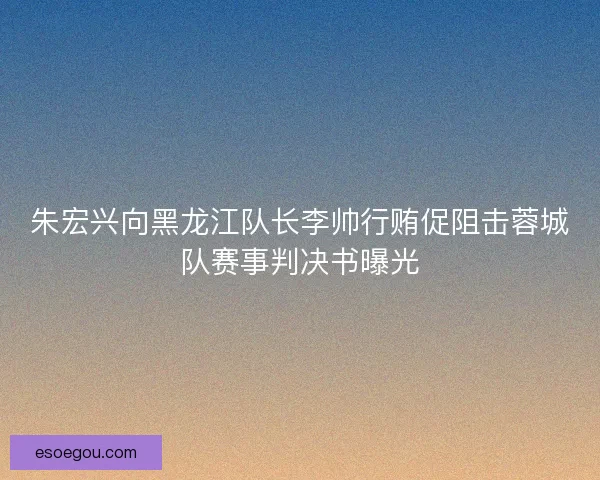 朱宏兴向黑龙江队长李帅行贿促阻击蓉城队赛事判决书曝光