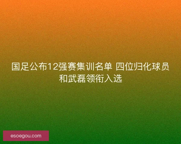 国足公布12强赛集训名单 四位归化球员和武磊领衔入选